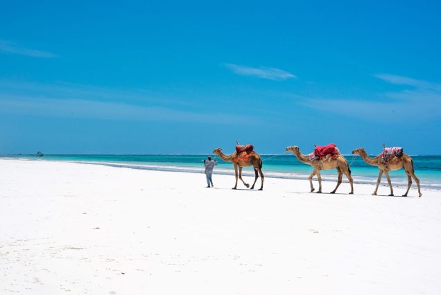 Turquoise Indian Ocean and white sand beach at Diani